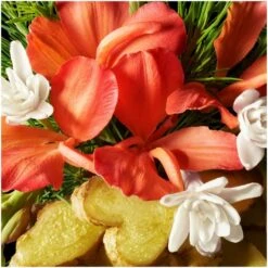 Molton Brown Gingerlily Body Wash 300ml -Cheap Dewloria Store 10881865 1114601194904247