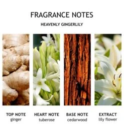 Molton Brown Gingerlily Body Wash 300ml -Cheap Dewloria Store 10881865 1894601194897518