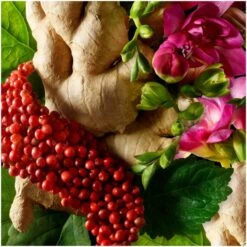 Molton Brown Pink Pepper Body Lotion 300ml -Cheap Dewloria Store 10881871 4494601195397777