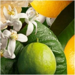 Molton Brown Orange & Bergamot Bath And Shower Gel -Cheap Dewloria Store 10881881 1884601197146507