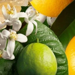 Molton Brown Orange & Bergamot Nourishing Body Lotion -Cheap Dewloria Store 10883583 2854665171426009