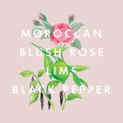 NEOM Organics Complete Bliss Standard Scented Candle -Cheap Dewloria Store 10970357 1094824843498990