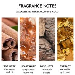 Molton Brown Oudh Accord And Gold Body Lotion -Cheap Dewloria Store 11082957 5774619566400238