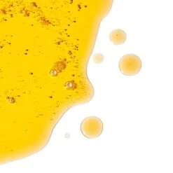 Pai Skincare The Gemini Pomegranate And Pumpkin Stretch Mark Dual-System 300ml -Cheap Dewloria Store 11572690 1544832118140763