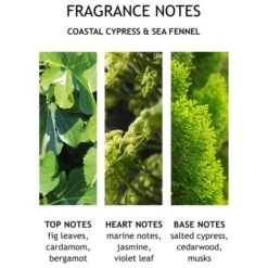 Molton Brown Coastal Cypress & Sea Fennel Bath And Shower Gel 300ml -Cheap Dewloria Store 11739213 2014619596391781