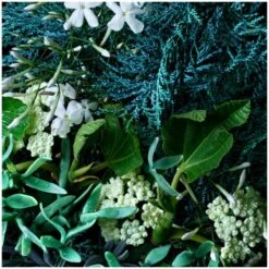 Molton Brown Coastal Cypress & Sea Fennel Bath And Shower Gel 300ml -Cheap Dewloria Store 11739213 8064619596440849