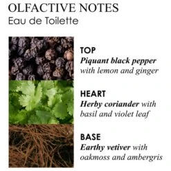 Molton Brown Re-Charge Black Pepper Eau De Toilette - 100ml -Cheap Dewloria Store 12243598 1624701472174143