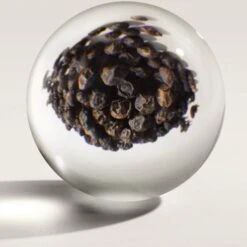 Molton Brown Re-Charge Black Pepper Eau De Toilette - 100ml -Cheap Dewloria Store 12243598 4694701472246542