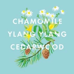 NEOM Bedtime Hero Magnesium Body Butter -Cheap Dewloria Store 12455614 1444824853305504