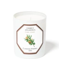 Carrière Frères Scented Candle Cedar - Cedrus Atlantica - 185 G