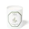 Carrière Frères Scented Candle Tea Plant - Camellia Sinensis - 185 G