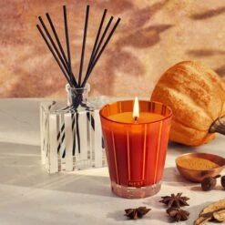 NEST Fragrances Pumpkin Chai Reed Diffuser 5.9 Fl. Oz -Cheap Dewloria Store 12691030 1984900607146260