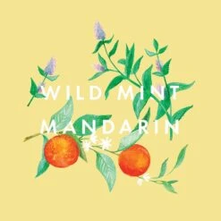 NEOM Great Day Hand And Body Lotion 300ml -Cheap Dewloria Store 12693963 2204824856815609