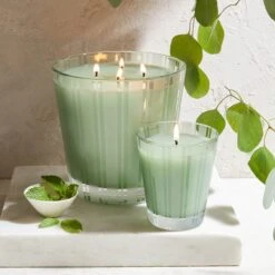 NEST New York Wild Mint And Eucalyptus Classic Candle 230g -Cheap Dewloria Store 13105926 3894911704258565