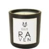 Ellis Brooklyn Raven Terrific Scented Candle 6.5 Oz