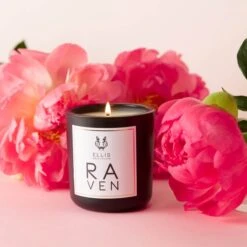 Ellis Brooklyn Raven Terrific Scented Candle 6.5 Oz -Cheap Dewloria Store 13809392 3024957060098153