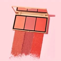 Jason Wu Beauty Blush Trio 14.4g -Cheap Dewloria Store 14192167 1335014888542870