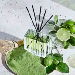 NEST New York Lime Zest And Matcha Reed Diffuser 175ml 6 NEST New York Lime Zest And Matcha Reed Diffuser 175ml -Cheap Dewloria Store 14198697 1355017179025872
