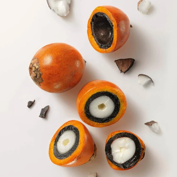 Natura Ekos Tukumã Hand Cream 1.9 Oz 5 Natura Ekos Tukumã Hand Cream 1.9 Oz - Image 5