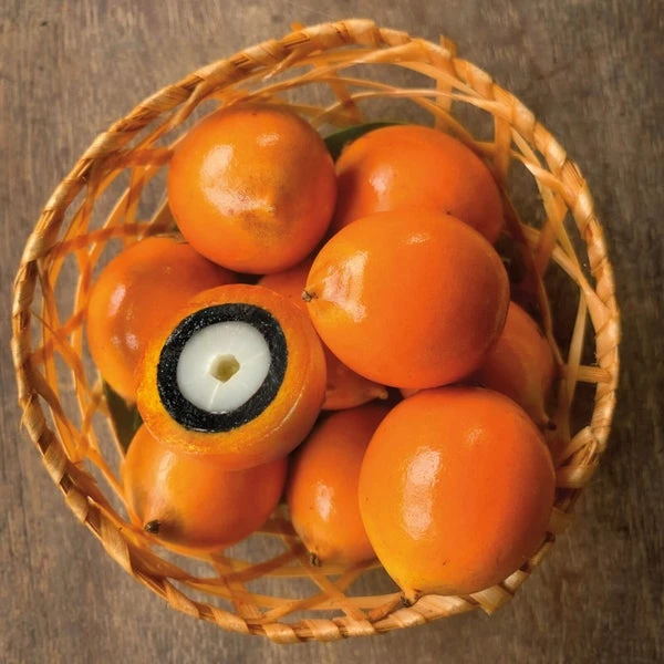 Natura Ekos Tukumã Hand Cream 1.9 Oz 7 Natura Ekos Tukumã Hand Cream 1.9 Oz - Image 7