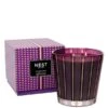 NEST New York Autumn Plum Luxury Candle 1341g